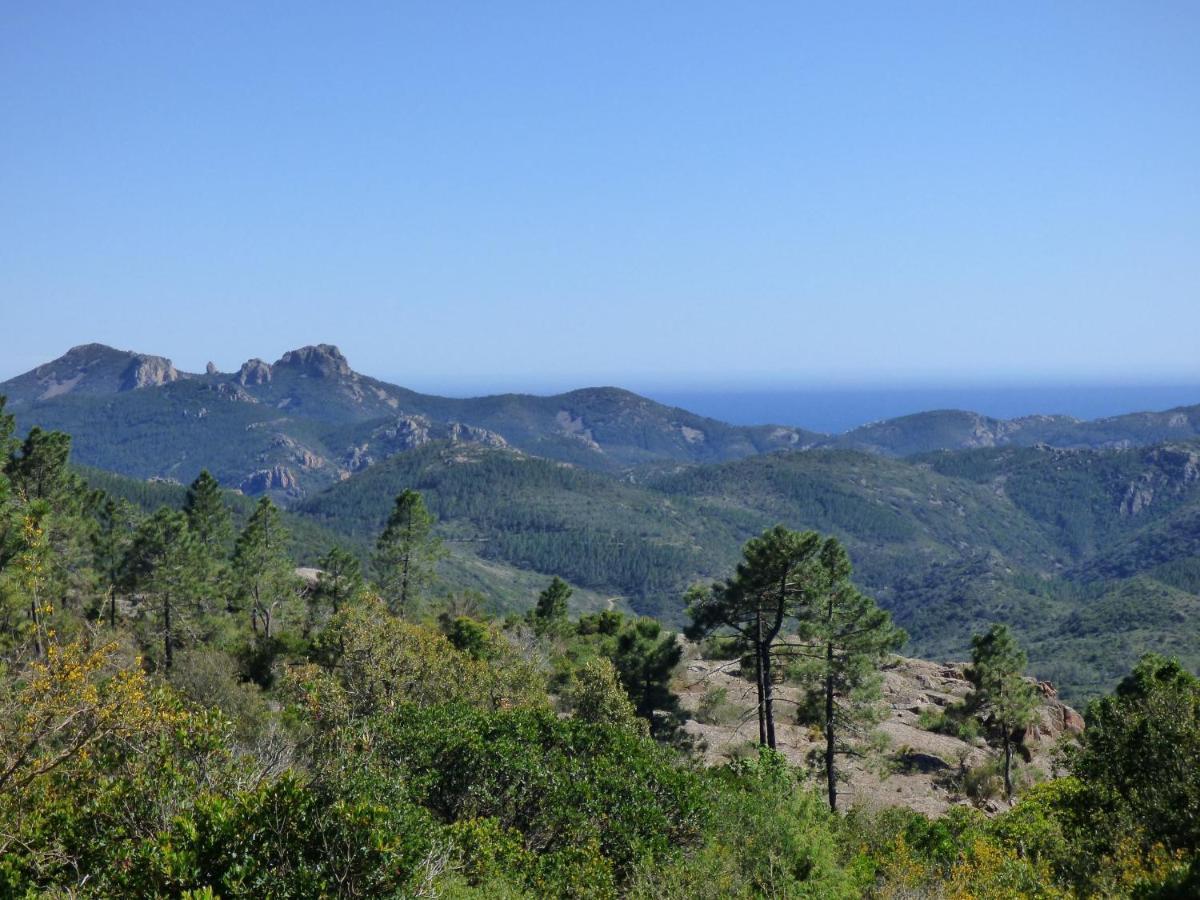 Chambres D'Hotes Vue Mer L'Esterel Panoramique Saint-Jean-de-l'Esterel エクステリア 写真