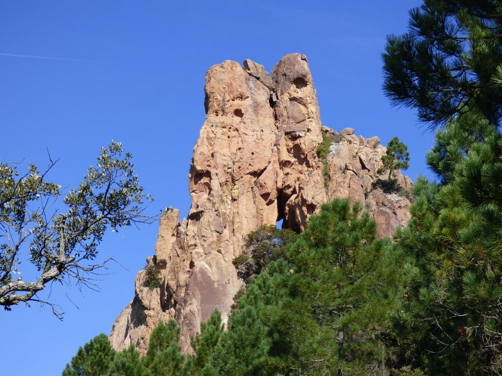 Chambres D'Hotes Vue Mer L'Esterel Panoramique Saint-Jean-de-l'Esterel エクステリア 写真